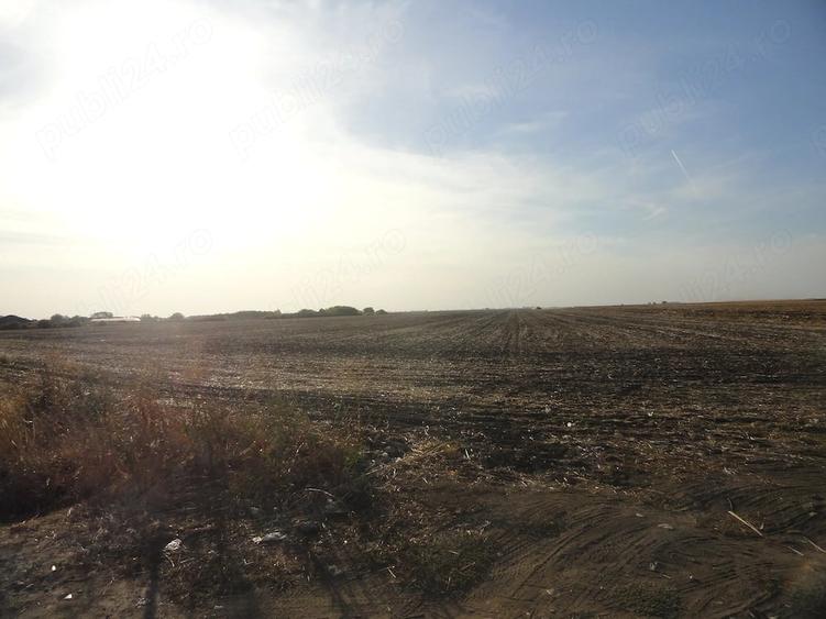 Teren de 10000 mp, în Zădăreni