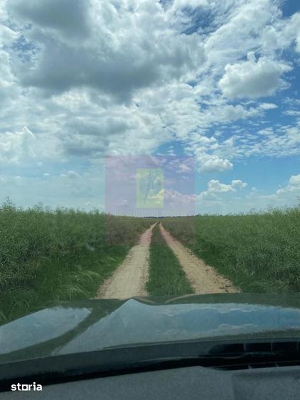 Teren de 62600 mp, în Albota