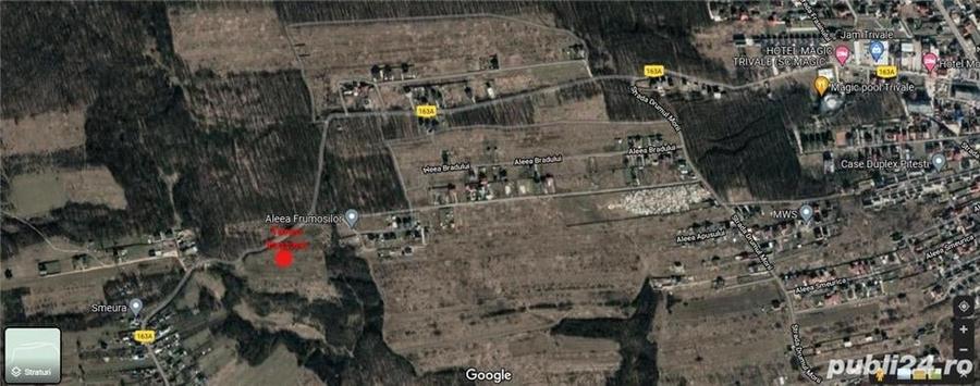 Teren de 6446 mp, în Smeura