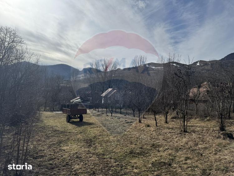 Teren de 1271 mp, în Livezile