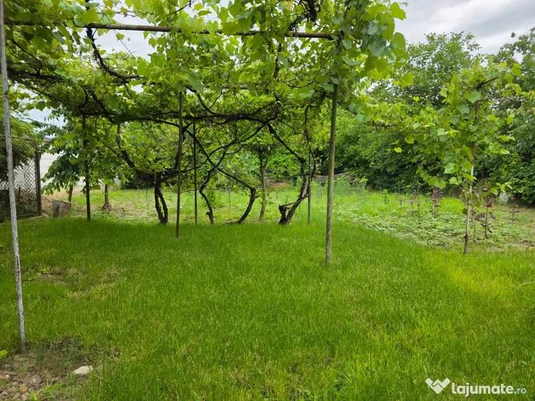 Casă cu 4 camere cu Teren 100 Mp în Central
