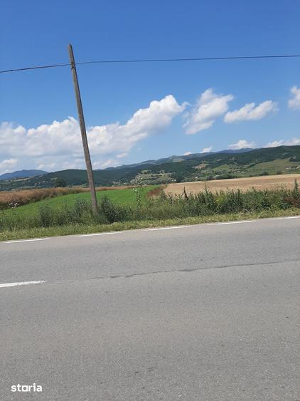 Teren de 5200 mp, în Vințu de Jos