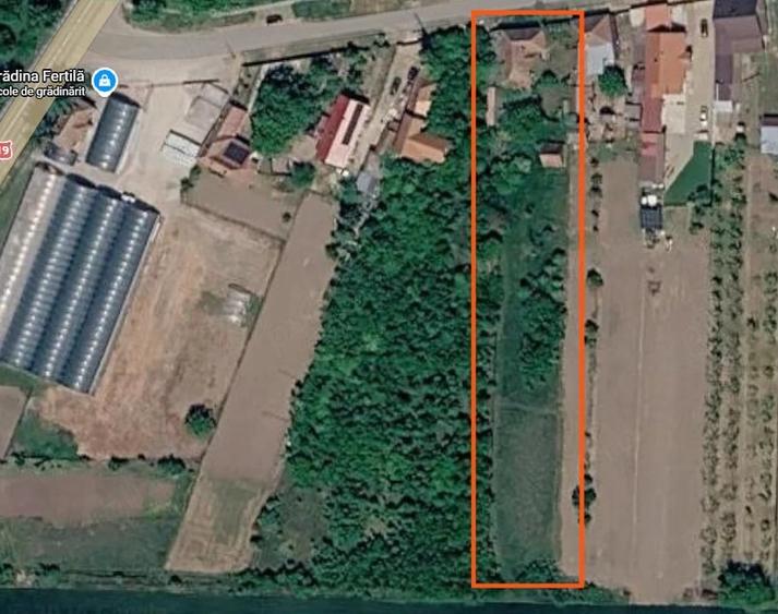 Casă cu Teren 2600 Mp în Tămășeu