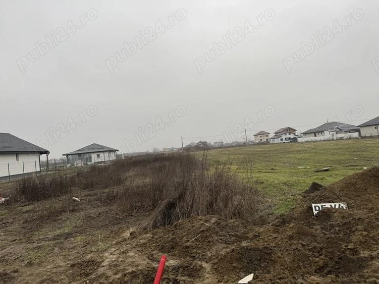 Teren de 5000 mp, în 1 Decembrie