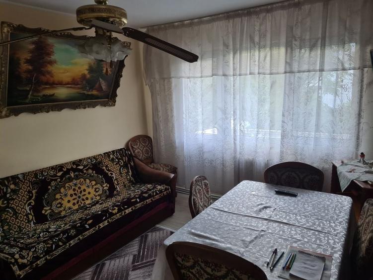 Ofer gazda in Cantemir - 4