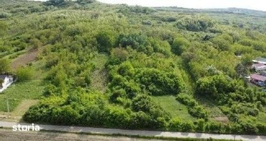 Teren de 4740 mp, în Bălteni