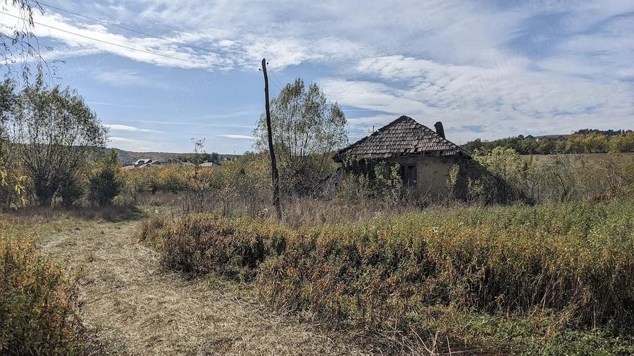 Teren de 8400 mp, în Mociu