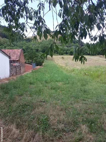 Teren în Divici