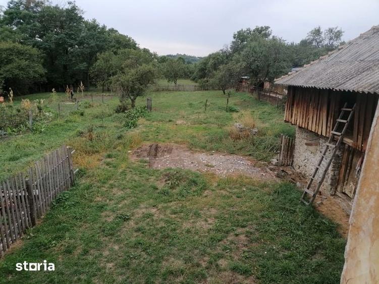 Teren intravilan cu casa musceleana - 7