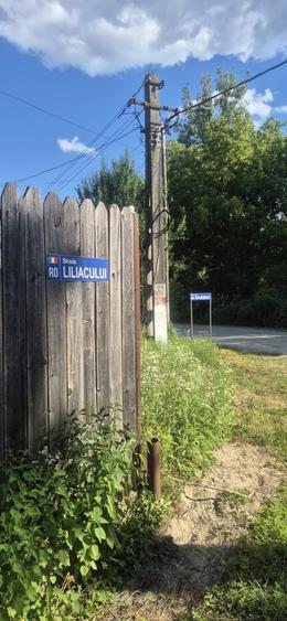 Casă cu 3 camere în Scundu