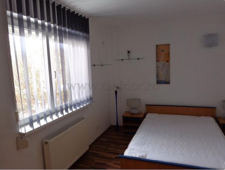 Vilă cu 5 camere de închiriat în zona Iancu Nicolae - 10