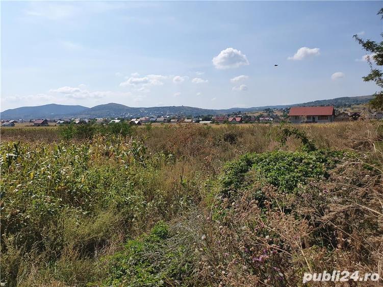 Teren de 5800 mp, în Central
