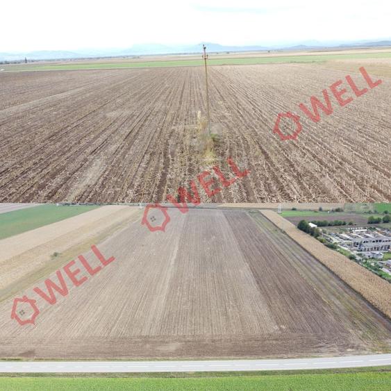 Teren agricol intravilan de 51400 mp, în Ozun