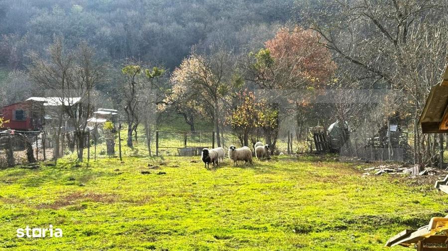 Casă cu 5 camere cu Teren 1900 Mp în Șieu
