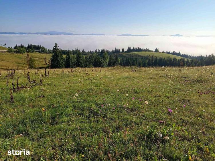 Teren de 3500 mp, în Tiha Bârgăului