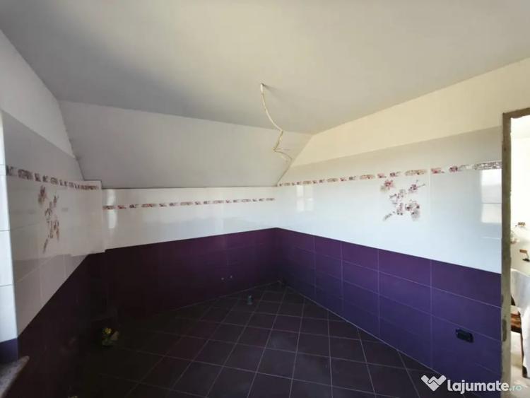 Casă cu 5 camere cu Teren 1792 Mp în Mitocu Dragomirnei