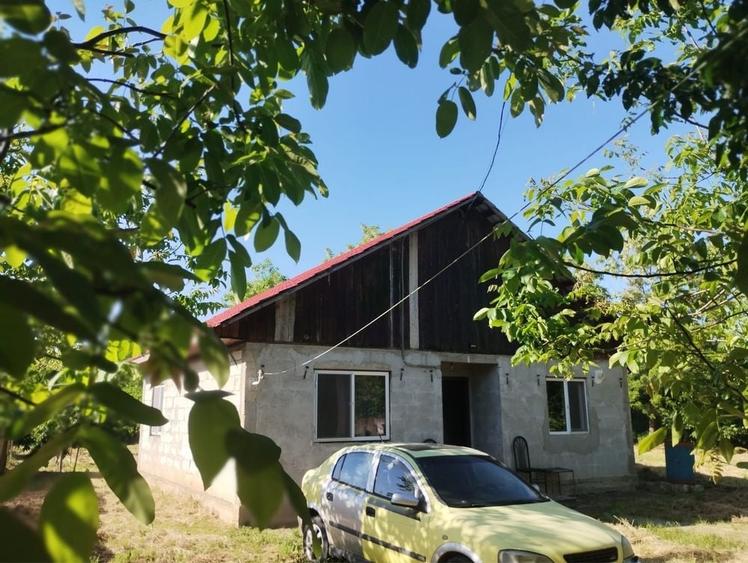 Casă cu 3 camere în Prisăcani