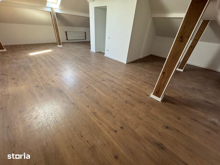 Individuala Otopeni, Odaile, curte MARE, 6 CAMERE - 3