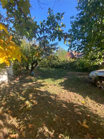 Casă cu 3 camere cu Teren 1600 Mp în Bujoreni