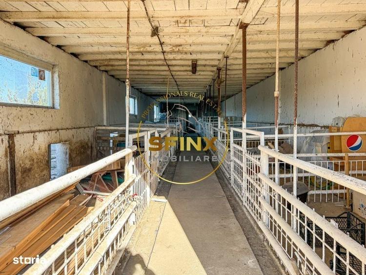 Spațiu comercial, în Fântâna Doamnei