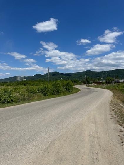Teren intravilan de 42167 mp, în Tăuții-Măgherăuș