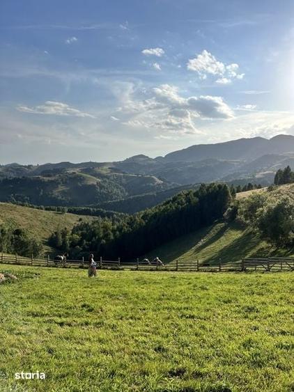 Teren de 110000 mp, în Peștera