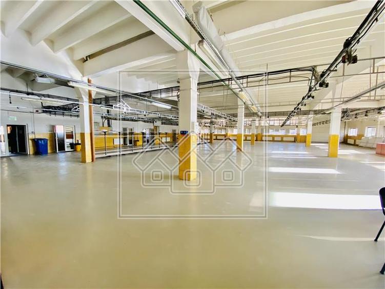 Spațiu industrial, de 1,200 mp, în Terezian