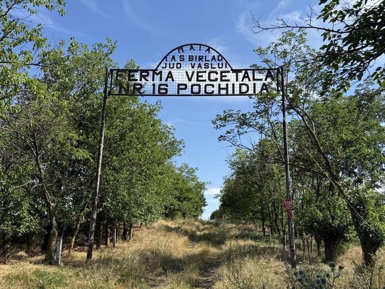 Teren de 17926 mp, în Crivești
