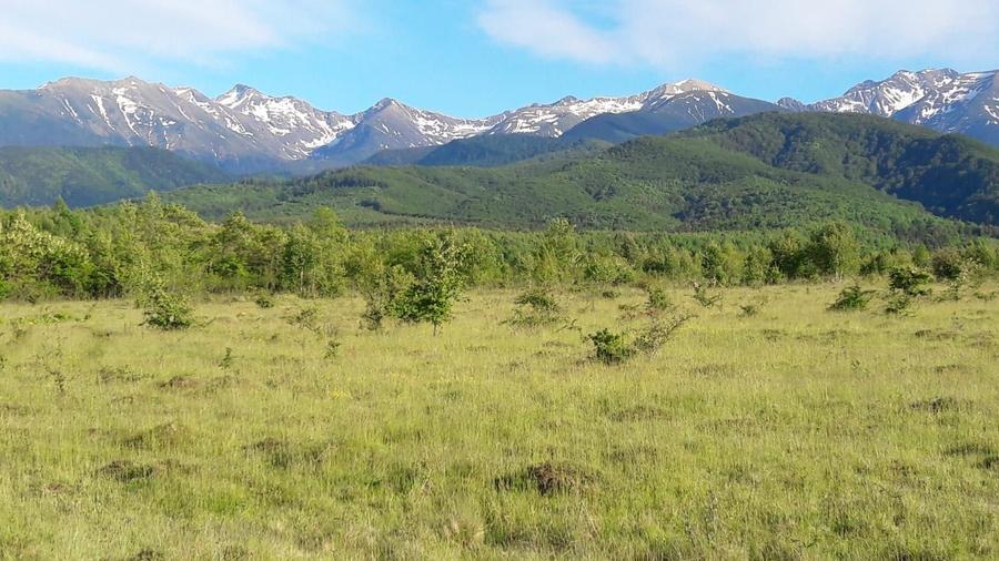 Teren de 1125 mp, în Porumbacu de Sus