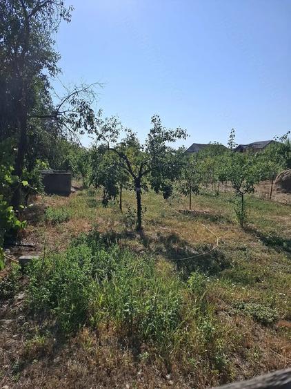 Casă cu 3 camere cu Teren 1000 Mp în Cicir