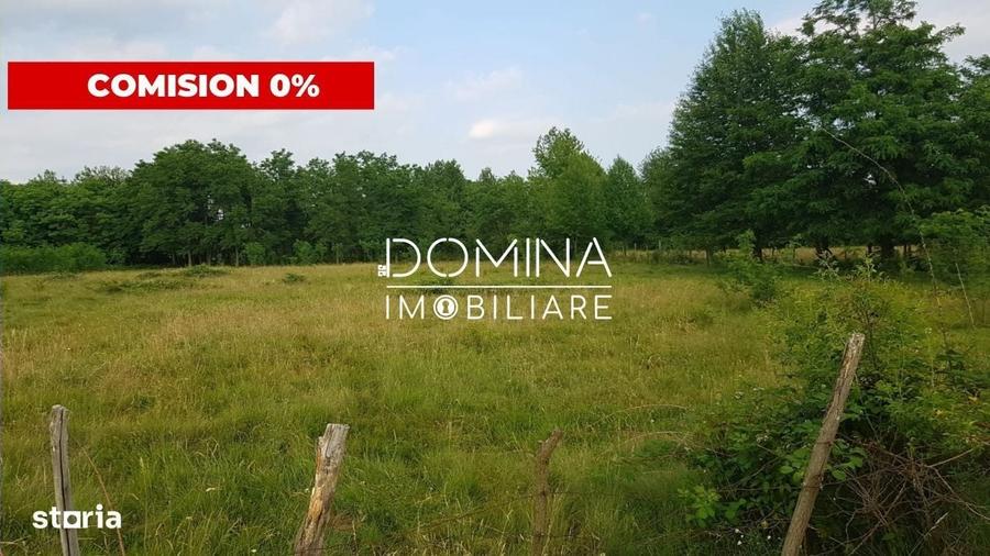 Spațiu comercial, în Polovragi