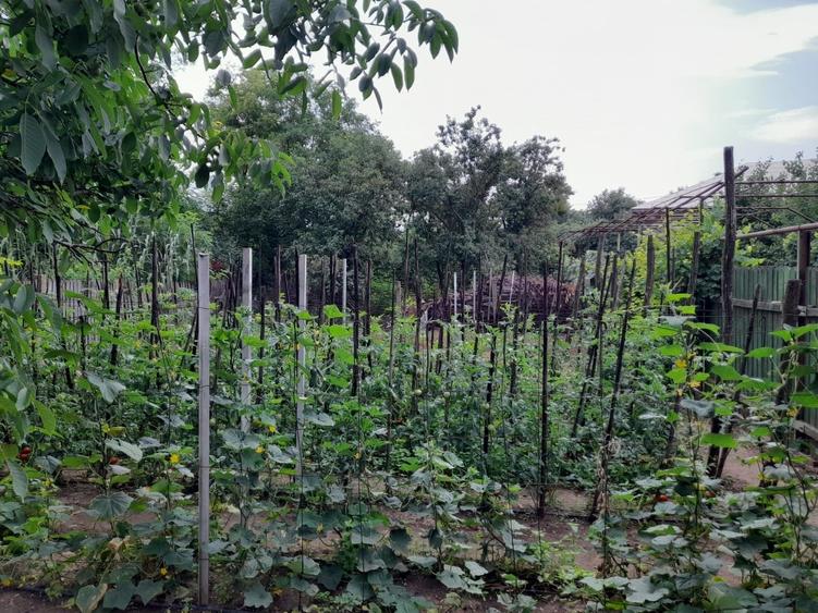 Casă cu 4 camere în Valea Soarelui