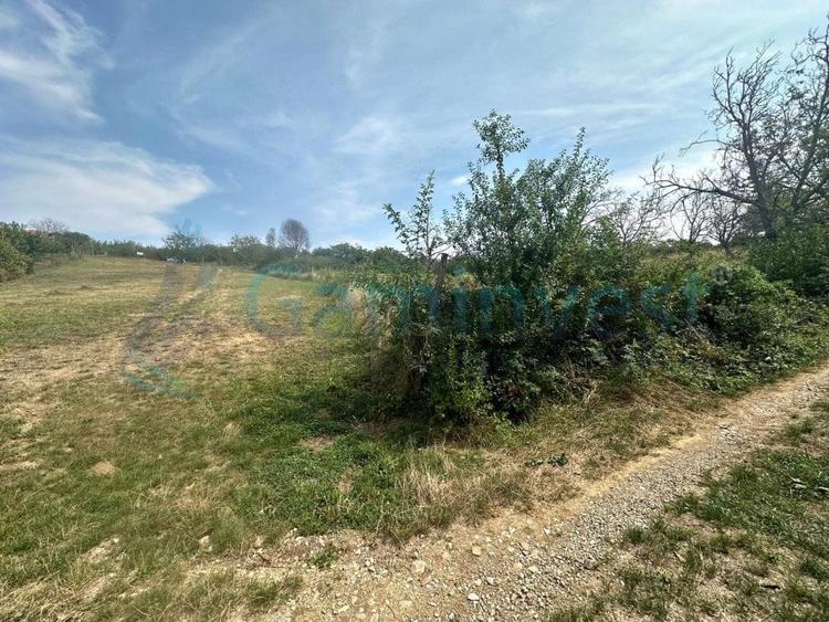 Teren Construcții intravilan de 1579 mp, în Săldăbagiu de Munte