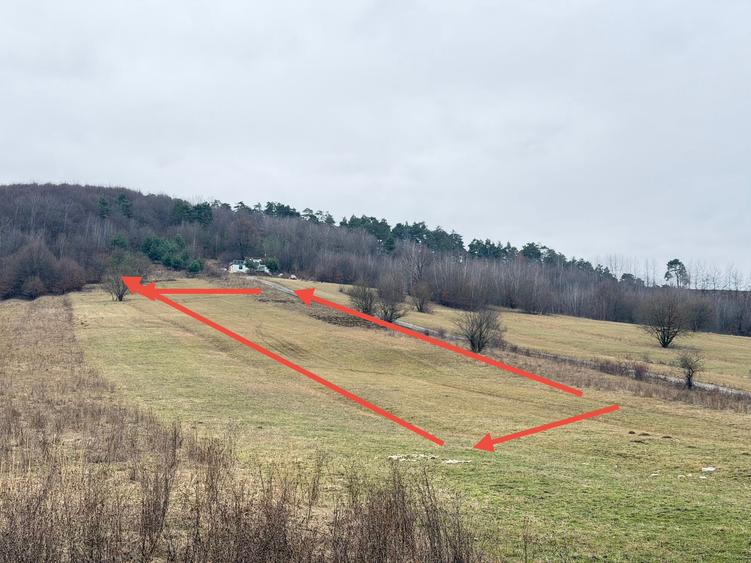 Teren extravilan de 1500 mp, în Teliu