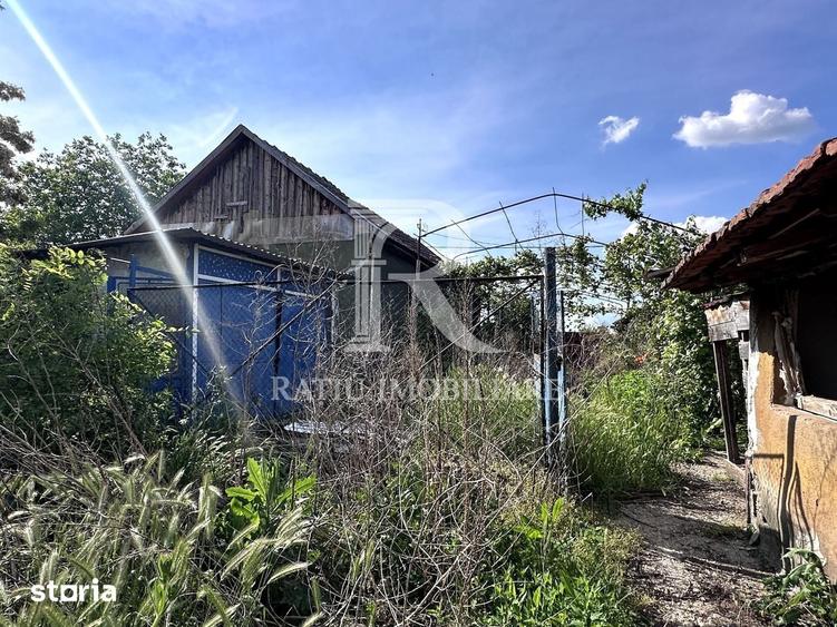 Casa cu anexe si pivni?a | Teren intravilan generos | Sannicolau Roman - 2