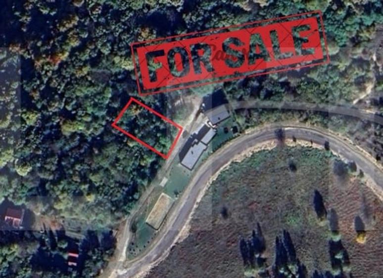 Teren extravilan de 1256 mp, în Ciurila
