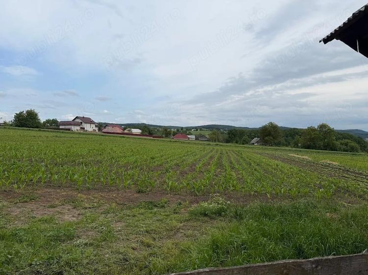 Teren de 2600 mp, în Șerbăuți