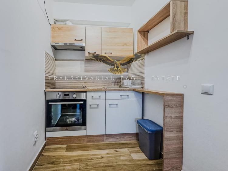 Apartament cu 2 camere semidecomandat, mobilat în Borhanci