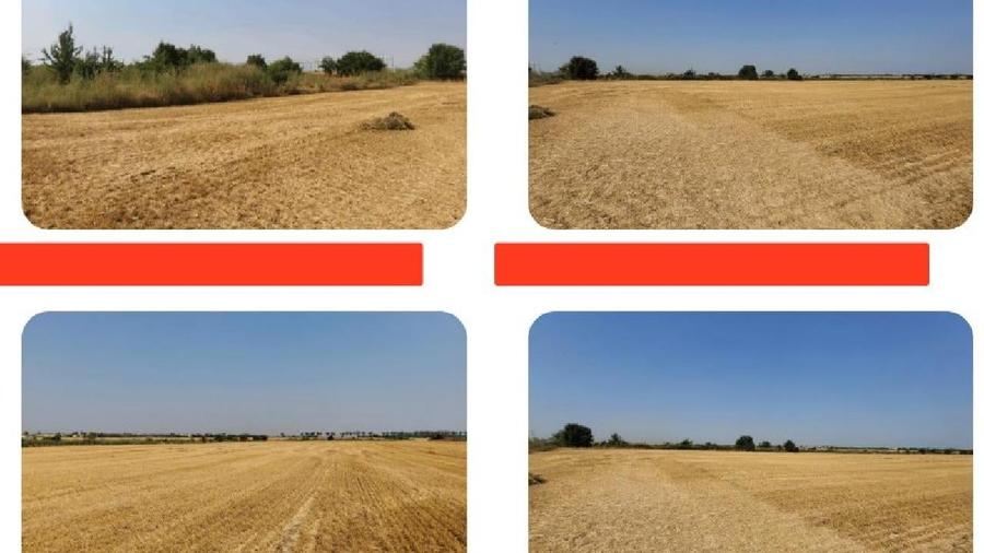 Teren agricol intravilan de 6300 mp, în Nord