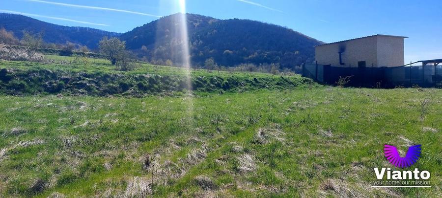 Teren agricol extravilan de 1500 mp, în Poplaca
