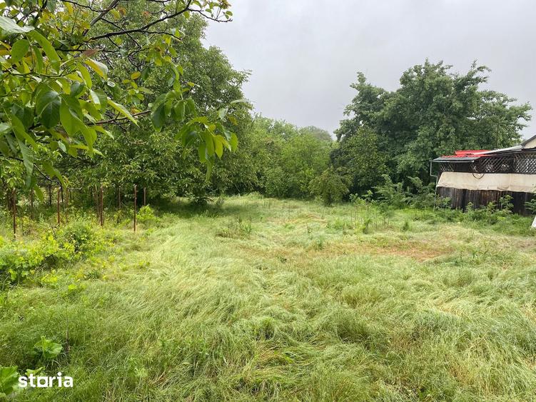 Teren de 2477 mp, în Frumușani
