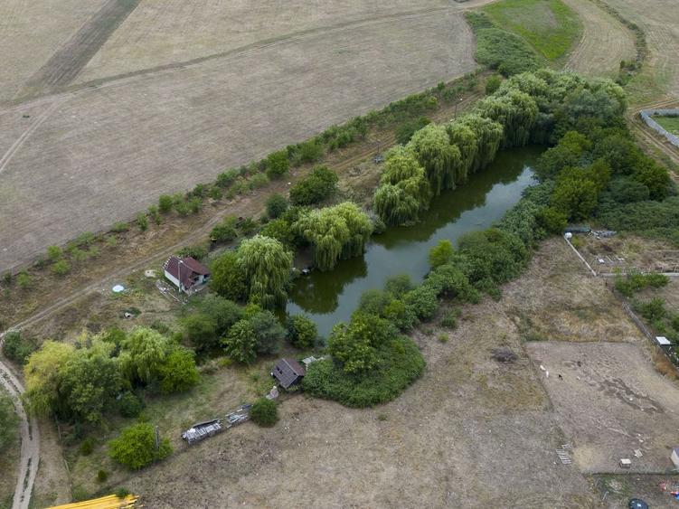 Teren agricol intravilan de 7900 mp, în Frumușeni
