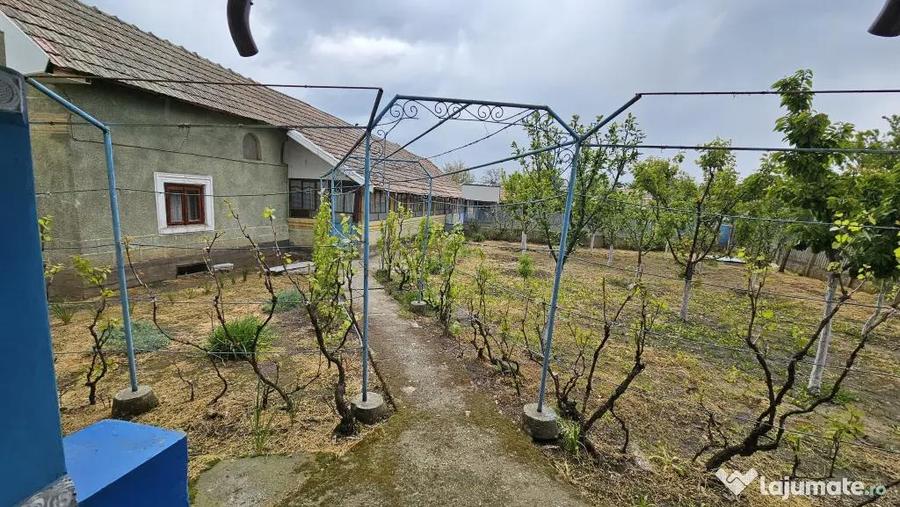 Casă cu 2 camere cu Teren 1500 Mp în Urzica