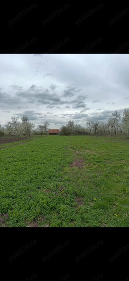 Teren de 4138 mp, în Babșa