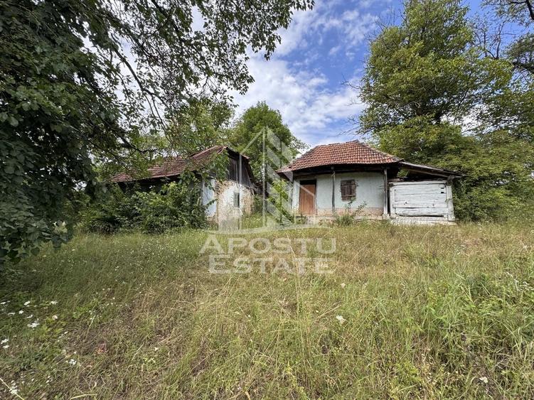 Teren Construcții intravilan de 7492 mp, în Fornădia
