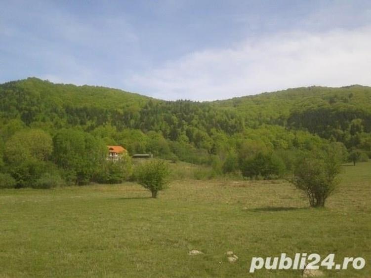 Teren de 1900 mp, în Sud