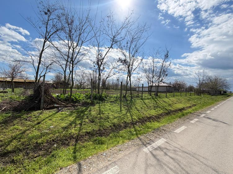 Teren Construcții intravilan de 1000 mp, în Mihai Viteazu