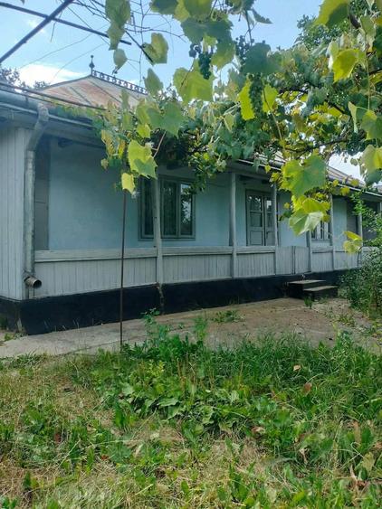 Teren de 2045 mp, în Curtești