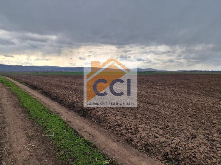 Teren agricol intravilan de 10000 mp, în Vest