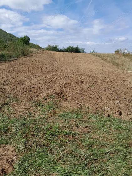Teren de 1800 mp, în Poplaca
